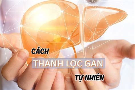  Chùa Từ Vân: Nơi Thánh Thiêng Gần Thiên nhiên